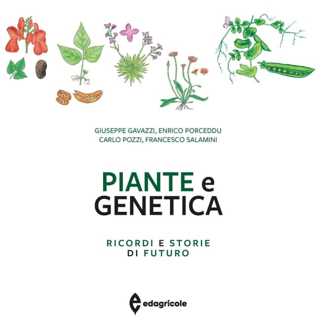 Piante e genetica