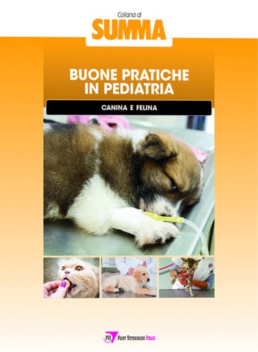 Immagine copertina Buone pratiche in pediatria canina e felina