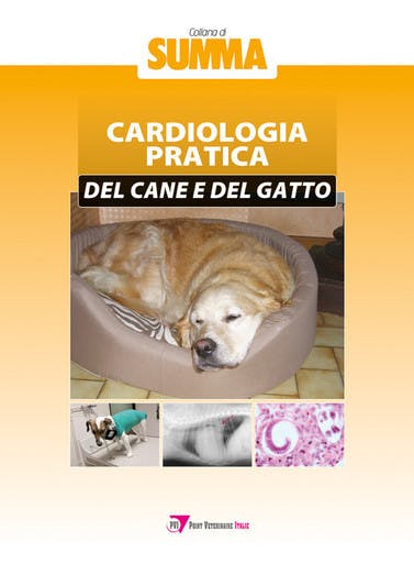 Immagine copertina Cardiologia pratica del cane e del gatto