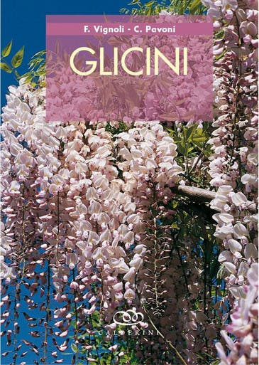 Immagine copertina Glicini