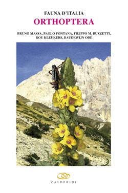 Immagine copertina Fauna d'Italia vol. XLVIII - Orthoptera - Draft