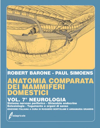 Immagine copertina Anatomia comparata dei mammiferi domestici - Volume 7