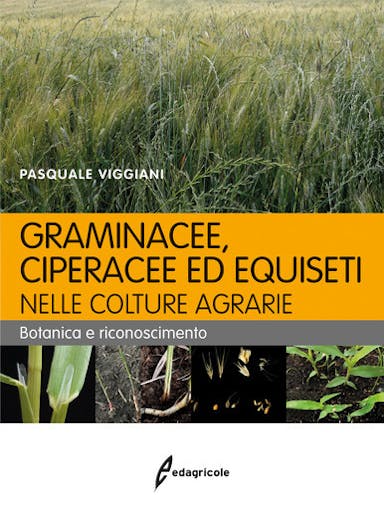 Immagine copertina Graminacee, ciperacee ed equiseti nelle colture agrarie