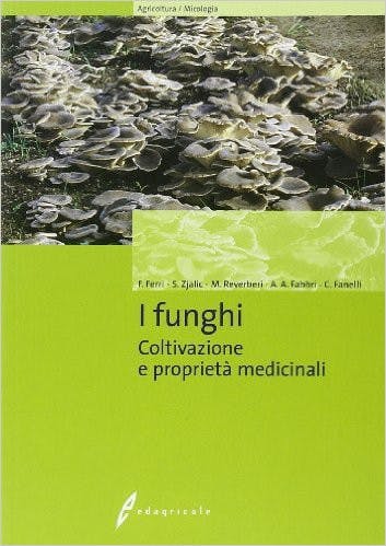 Immagine copertina I funghi