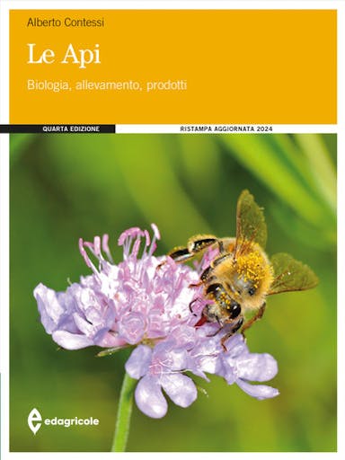 Immagine copertina Le api
