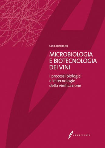Immagine copertina Microbiologia e biotecnologia dei vini