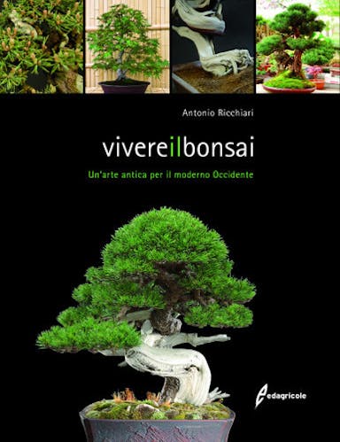 Immagine copertina Vivere il bonsai
