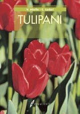 Immagine copertina Tulipani