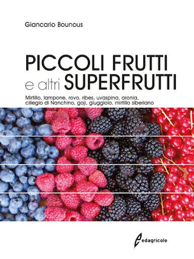 Immagine copertina Piccoli frutti e altri superfrutti