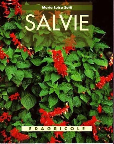 Immagine copertina Salvie