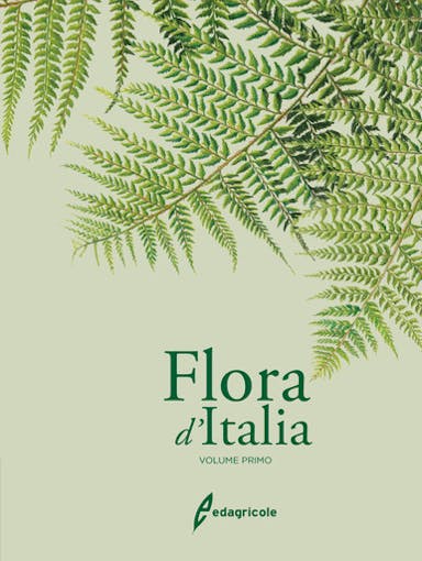 Immagine copertina Flora d'Italia - volume 1