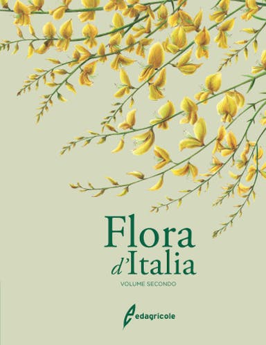 Immagine copertina Flora d'Italia - volume 2