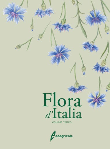 Immagine copertina Flora d'Italia - volume 3