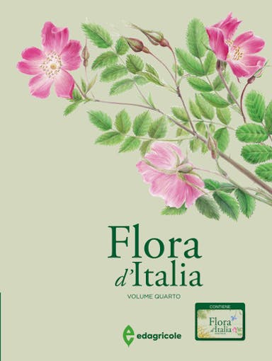 Immagine copertina Flora d'Italia - volume 4