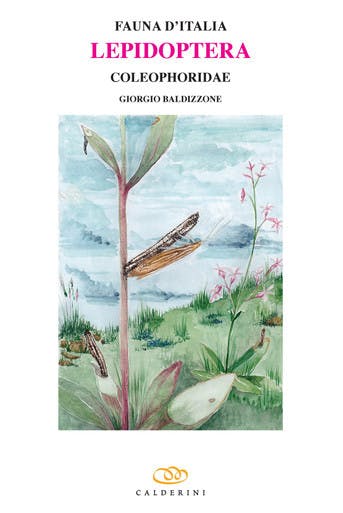 Immagine copertina Fauna d'Italia Vol. LIII - Lepidoptera - Coleophoridae