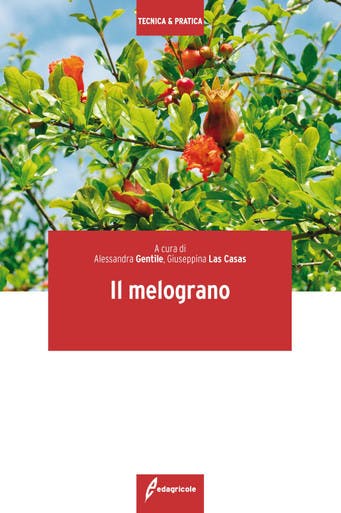 Immagine copertina Il melograno