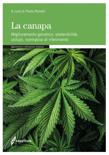 Immagine copertina La canapa