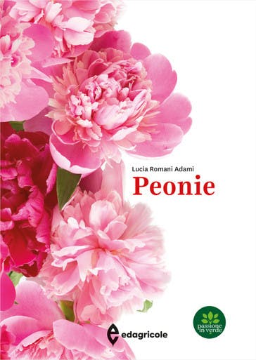 Immagine copertina Peonie