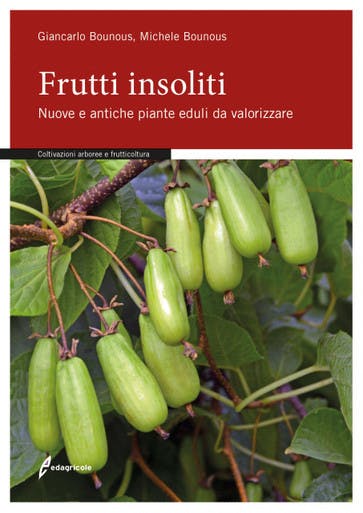 Immagine copertina Frutti insoliti