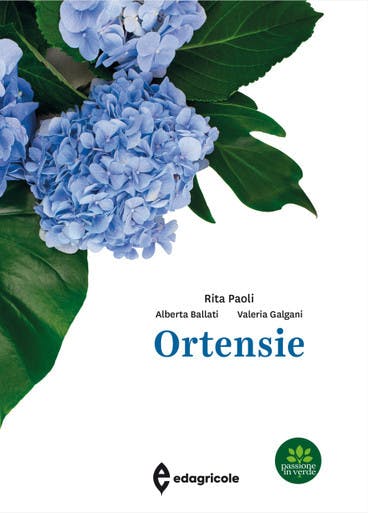 Immagine copertina Ortensie