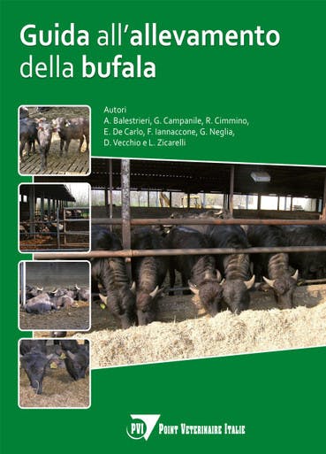 Immagine copertina Guida all’allevamento della bufala