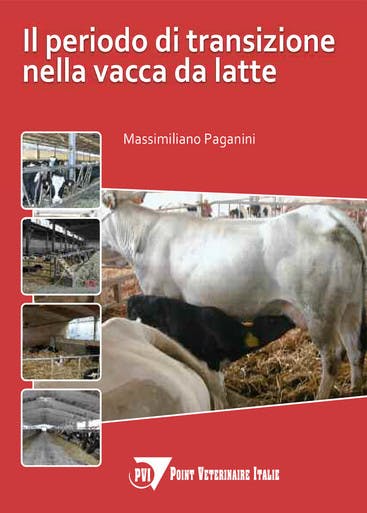 Immagine copertina Il periodo di transizione nella vacca da latte