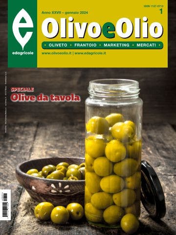 Immagine copertina Olivo e Olio
