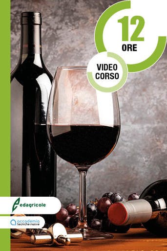 Immagine copertina La nuova normativa vitivinicola: dalla gestione del vigneto ai processi di produzione