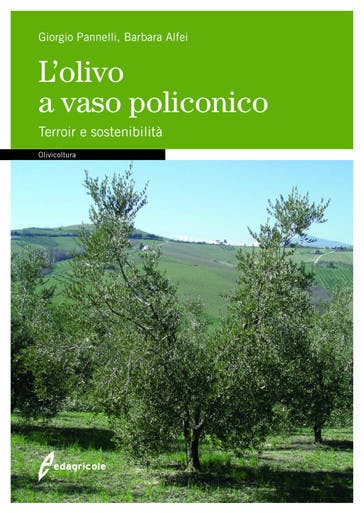 Immagine 2 copertina Corso La potatura dell'olivo a vaso policonico + Libro L'olivo a vaso policonico