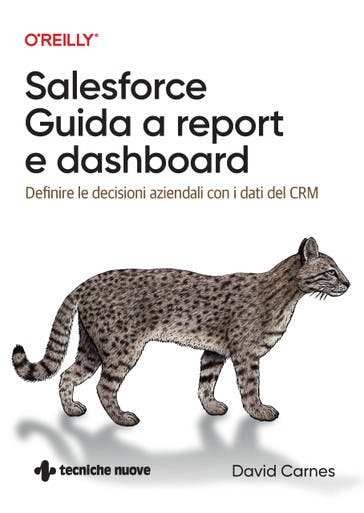 Immagine copertina Salesforce – Guida a report e dashboard