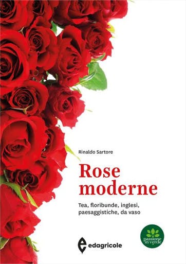 Immagine copertina Rose moderne