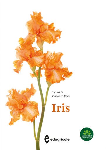 Immagine copertina Iris