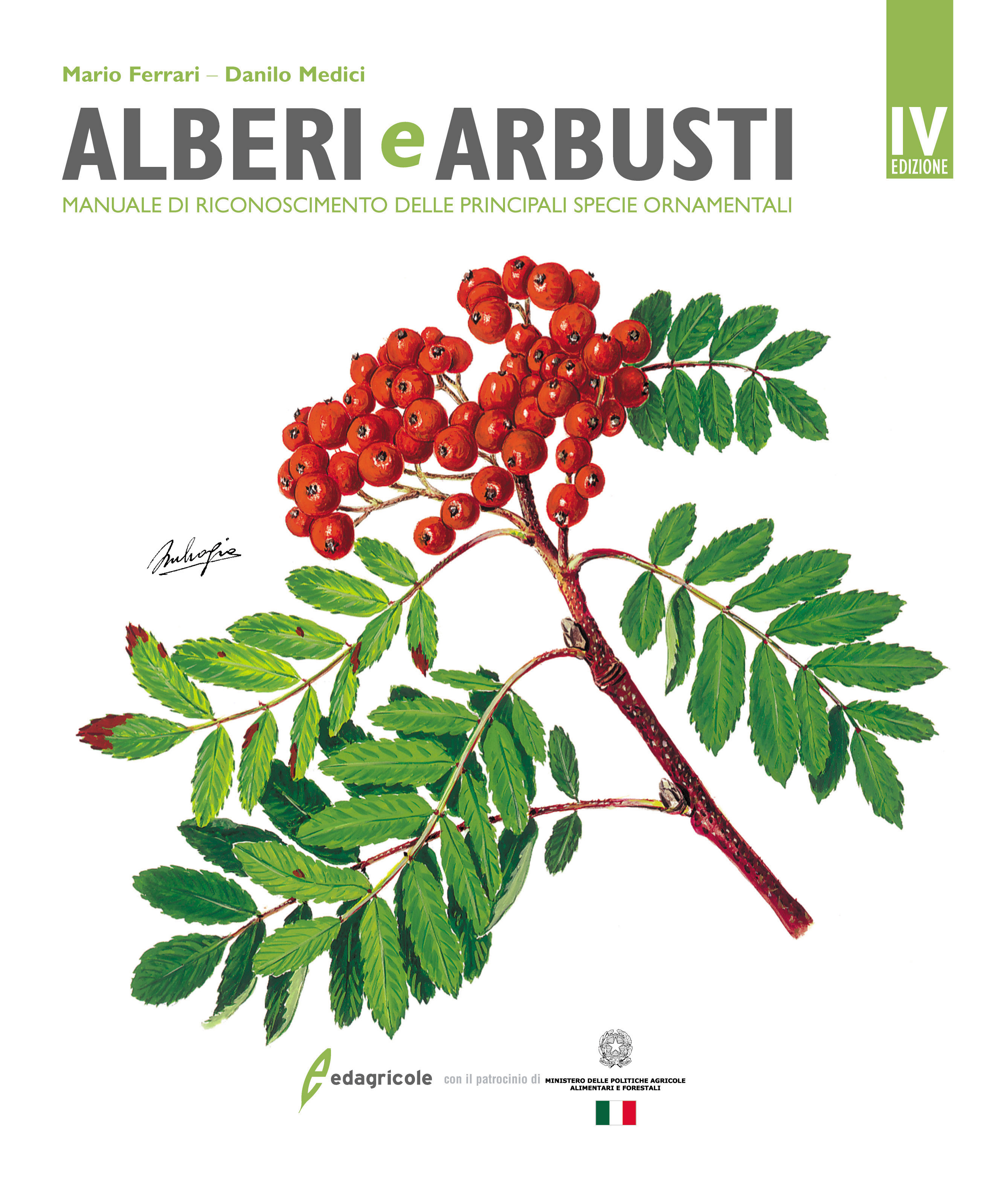 Arbusti "prodotto naturale" traccia 1 Art-N 159/09 