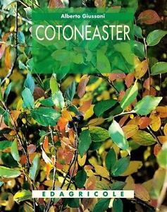 Tecniche Nuove - Cotoneaster